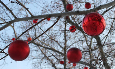 Рождественские квизы пройдут в парках Новосибирска 7 января